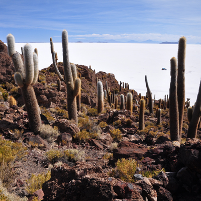 Salar de Uyuni